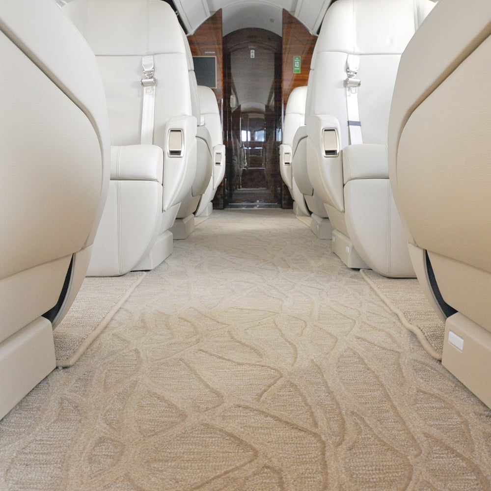 Interior Carpet Shampoo Service